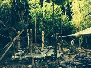 10325663_10100238211878460_2733368937489379034_n