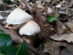 wpid-20141018_171819.jpg