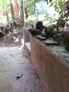 wpid-20141025_114150.jpg