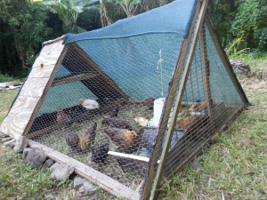 wpid-20141102_163833.jpg